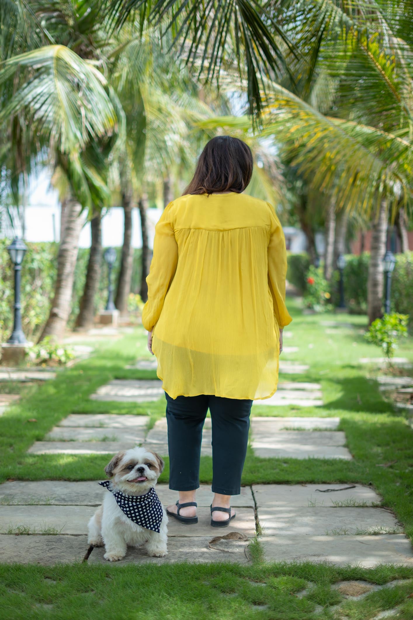 Mustard Yellow Full Sleeved Tunic